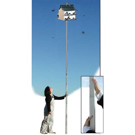 purple martin house telescoping pole